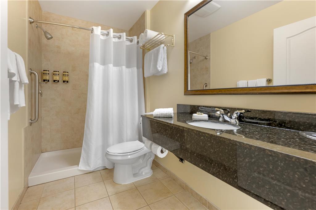 Best Western Plus Vineyard Inn & Suites - photo 15