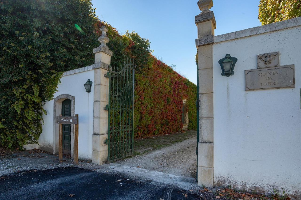 Quinta Da Torre — Alpiarca — photo 3