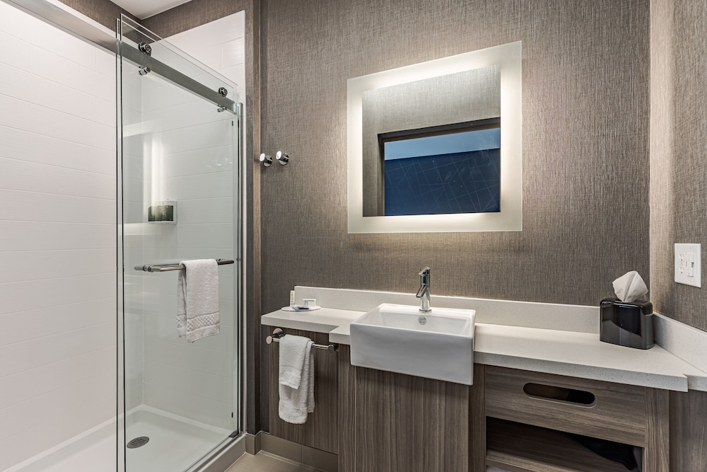 SpringHill Suites by Marriott Detroit Sterling Heights - photo 19