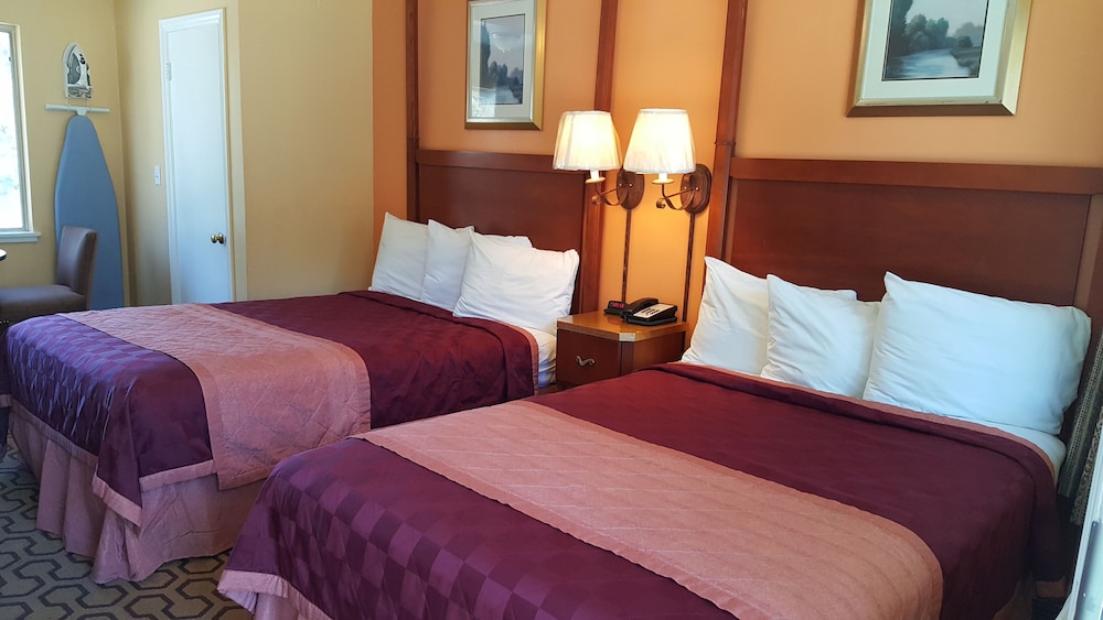 Alpine Inn and Spa - photo 4