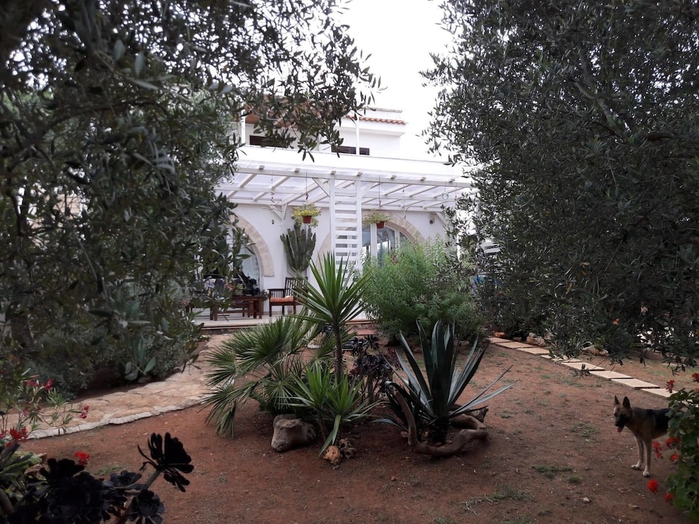 All'Ombra dell'Ulivo — hotel in Carovigno