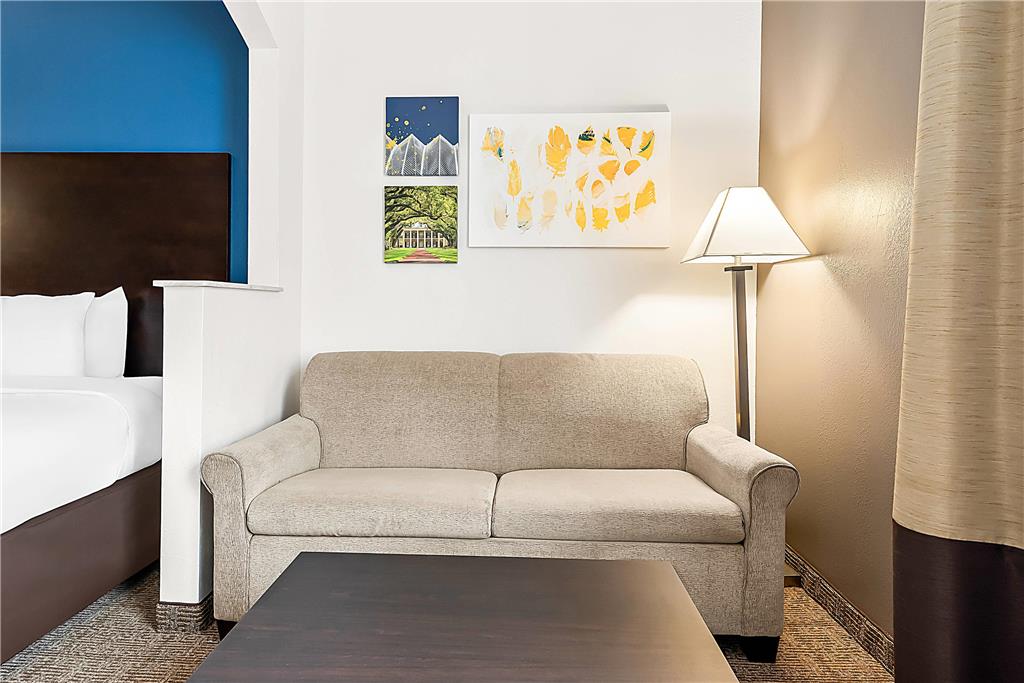 Comfort Suites New Orleans East - photo 30