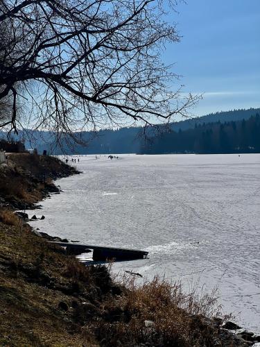 Apartmany V Ulicce Frymburk in Frymburk, Czech Republic