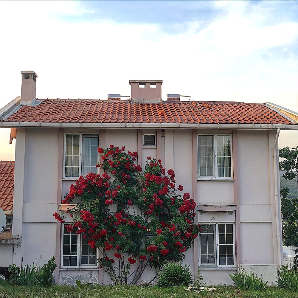 Koyevi Butik Hotel in Vize, Turkey