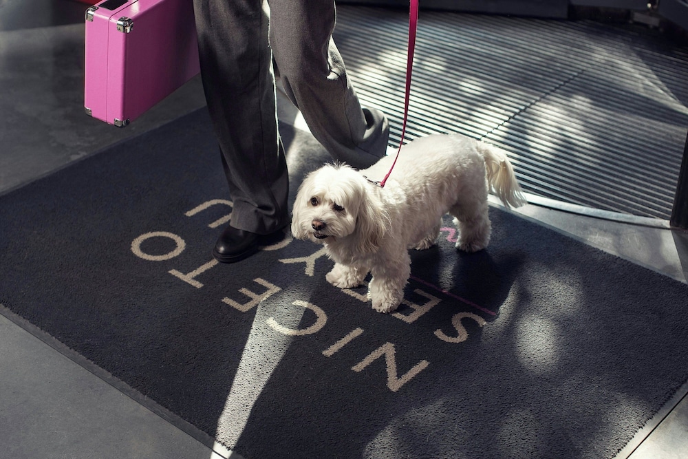 Moxy Tbilisi