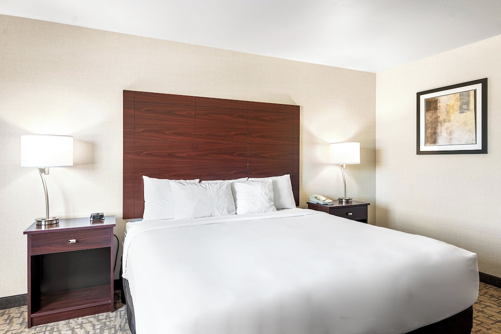 Boarders Inn & Suites Shawano - photo 25