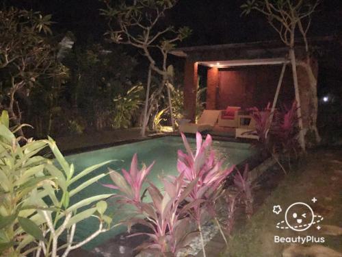 Mahesa Villa — 4-Star Luxury Hotel in Ubud, Indonesia