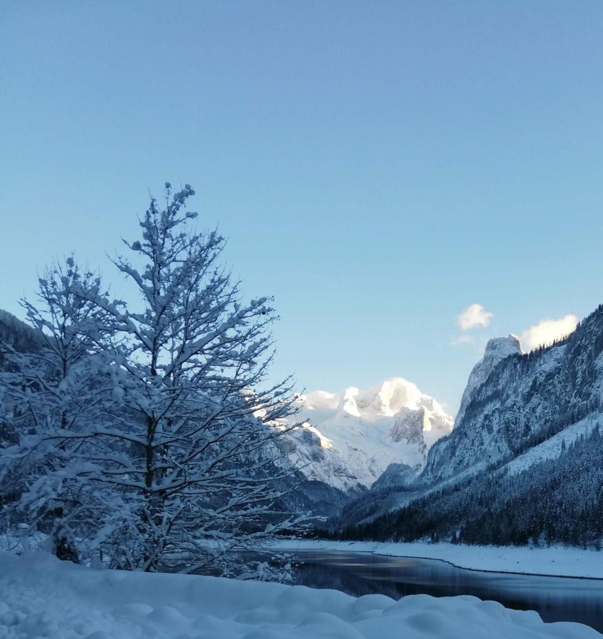 Kalvarienberg Appartement Gosau — Gosau — photo 3