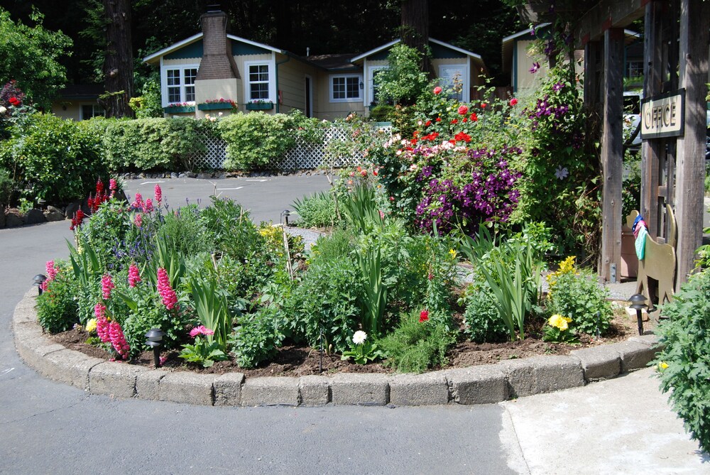 Fern Grove Cottages - photo 81