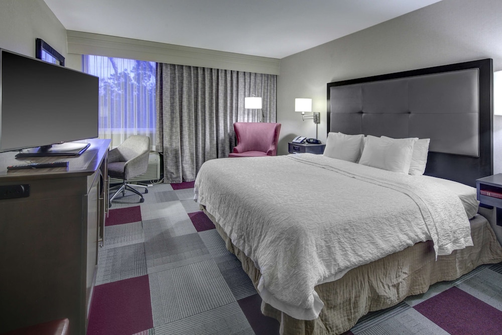 Hampton Inn Miami Coconut Grove Coral Gables - photo 14