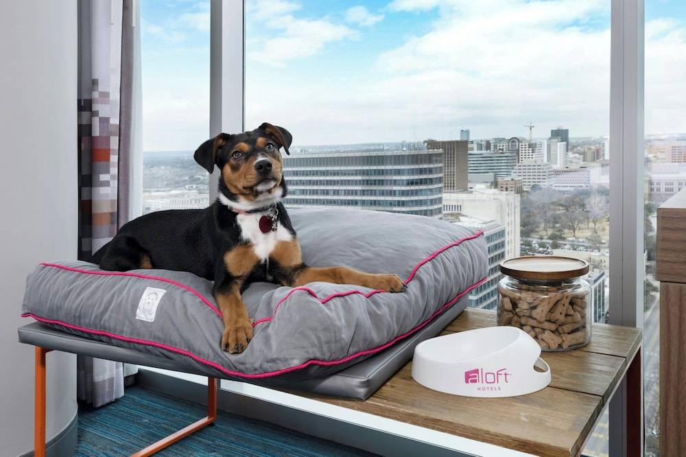 Aloft Austin Downtown - photo 29