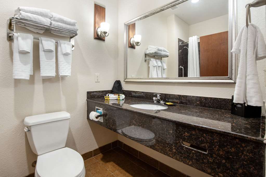 Best Western Plus Greenville South - photo 31