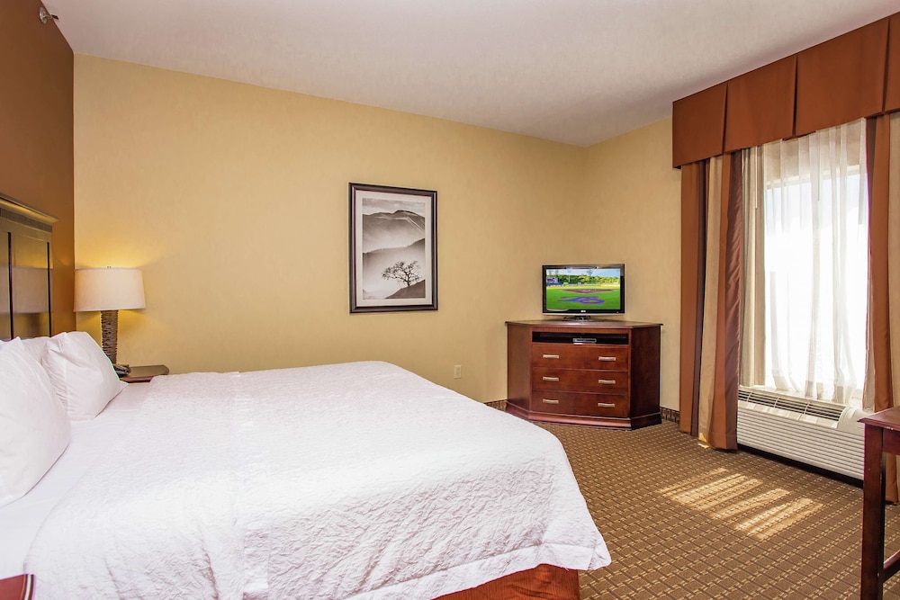 Hampton Inn & Suites Sevierville @ Stadium Drive - photo 8