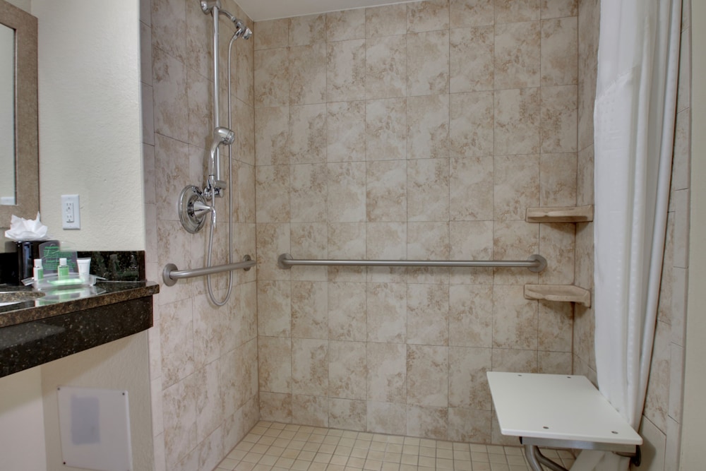 Holiday Inn Resort Orlando Lake Buena Vista by IHG - photo 42