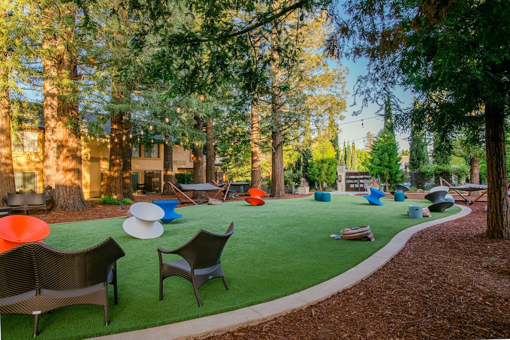 Napa Valley Marriott Hotel & Spa - photo 122