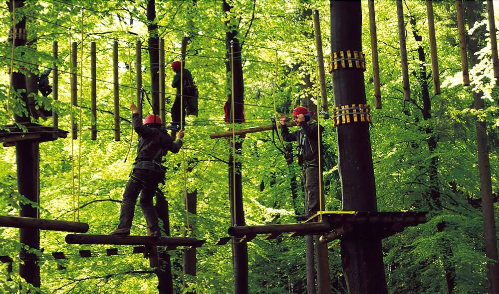 Ropes Course (Team Building)