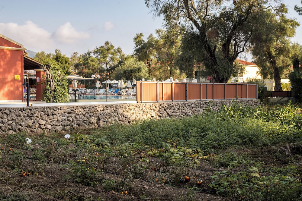 שטחי חוץ / גן