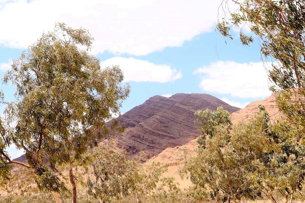 Capsa Thermal Oasis — Gafsa — photo 3