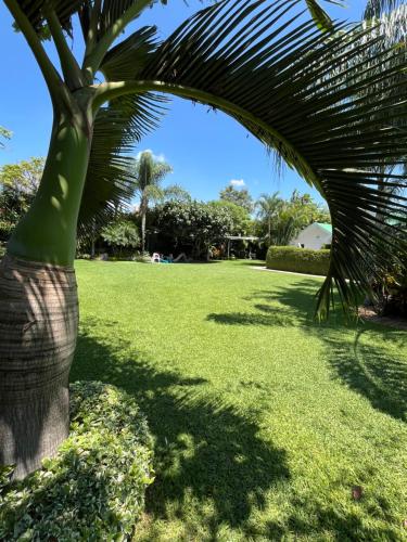 Hotel Boutique La Flor — Jiutepec