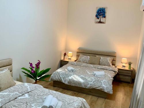 Niko Pirosmani 3 room apartment in Old Tbilisi