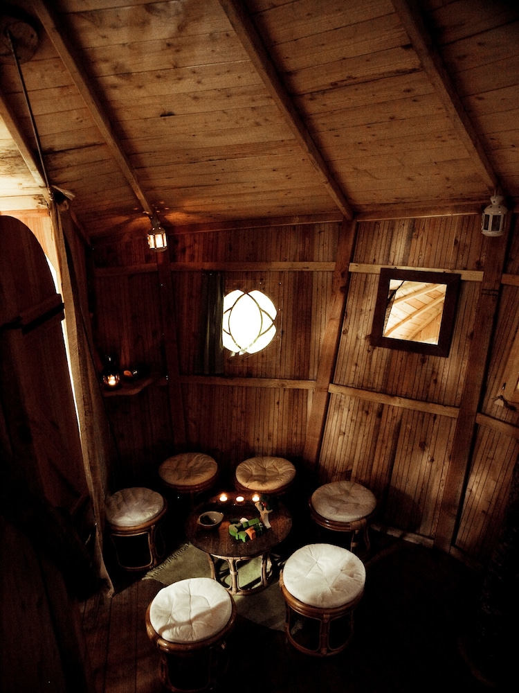 L’Arbre à Cabane — Melay — photo 2