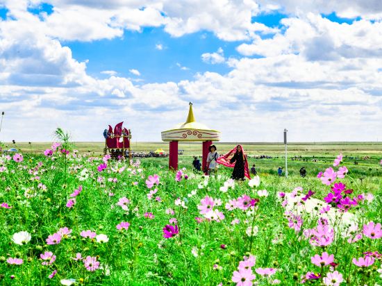 Grassland Yurt - last minute hotel in Unknown City