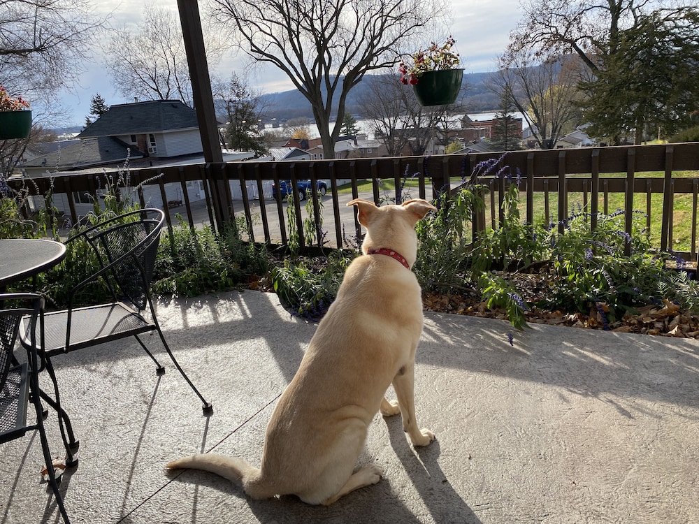 Little Bluff Inn - photo 23