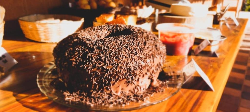 Pousada Pato Mergulhão in Passos, Brasil