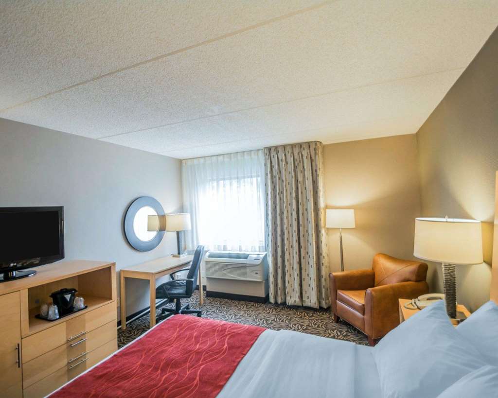 Comfort Inn NYS Fairgrounds - photo 24