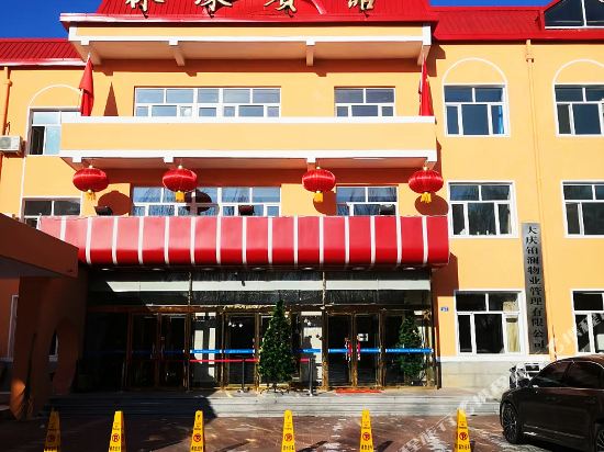 Daqing Linlian hotel in Daqing, People's Republic of China