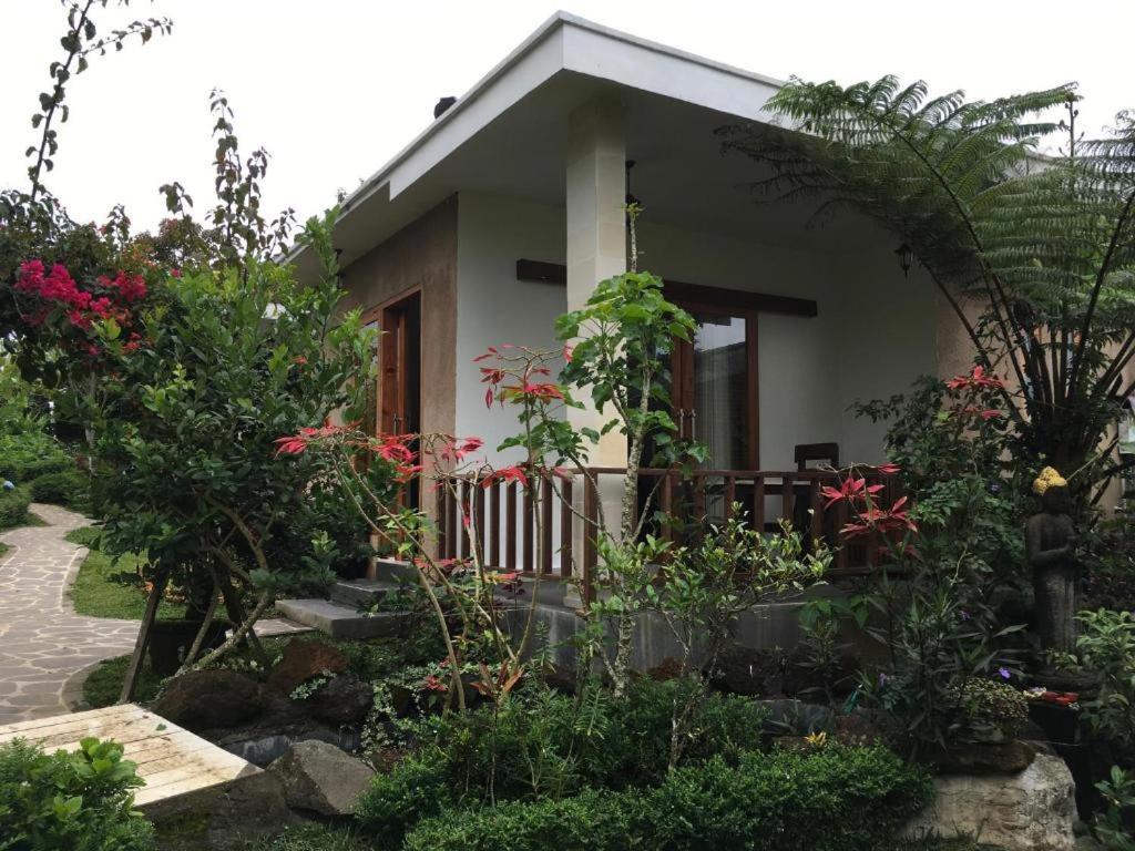 Munduk Garden in Munduk, Indonesia