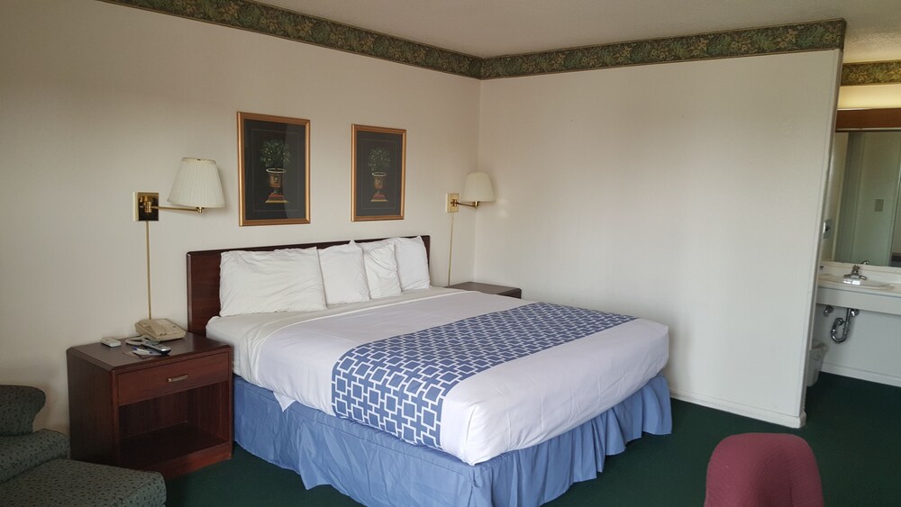 Alamo Inn & Suites - photo 5