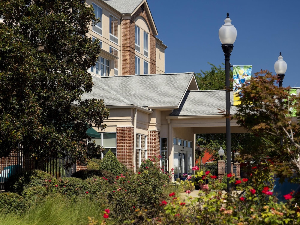 Hilton Garden Inn Albany - photo 30