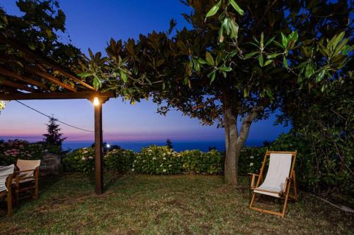 Deja Blue - carbon neutral hotel in Unknown City