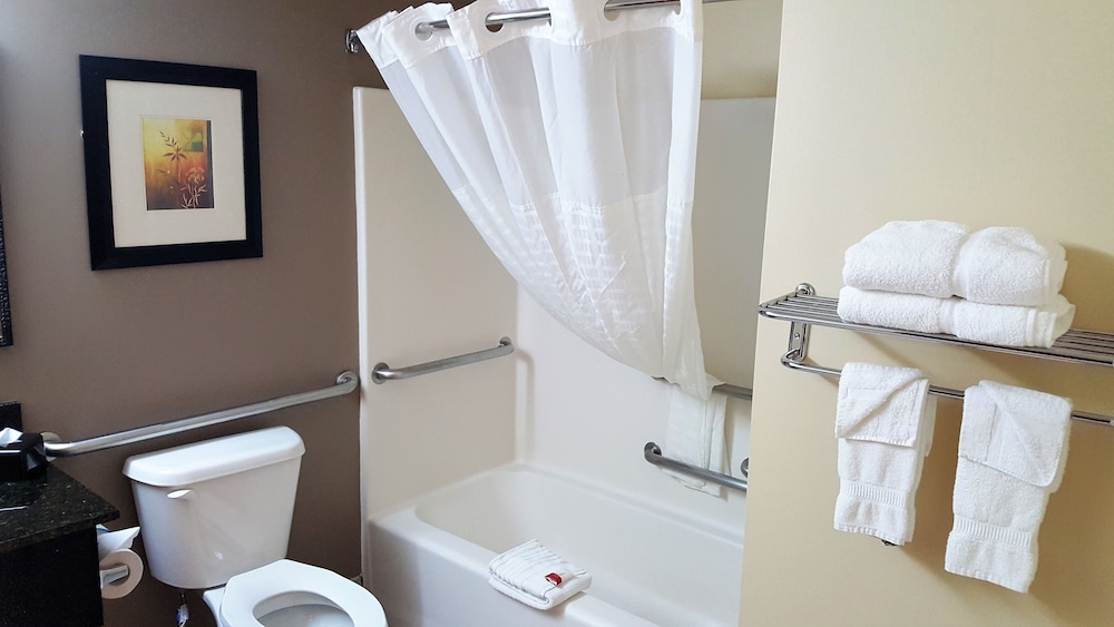 Baymont by Wyndham Belleville Airport Area - photo 25