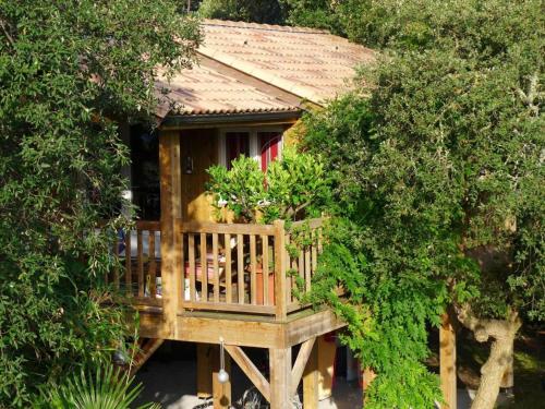 Les chats perchés 400m plage G in Labenne, France