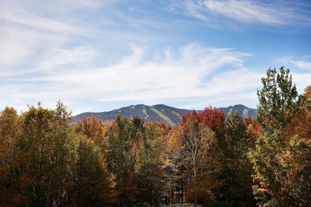 Killington Mountain Lodge Tapestry Collection by Hilton - photo 56