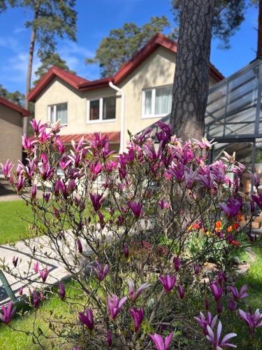 Sweethome - carbon neutral hotel in Jurmala