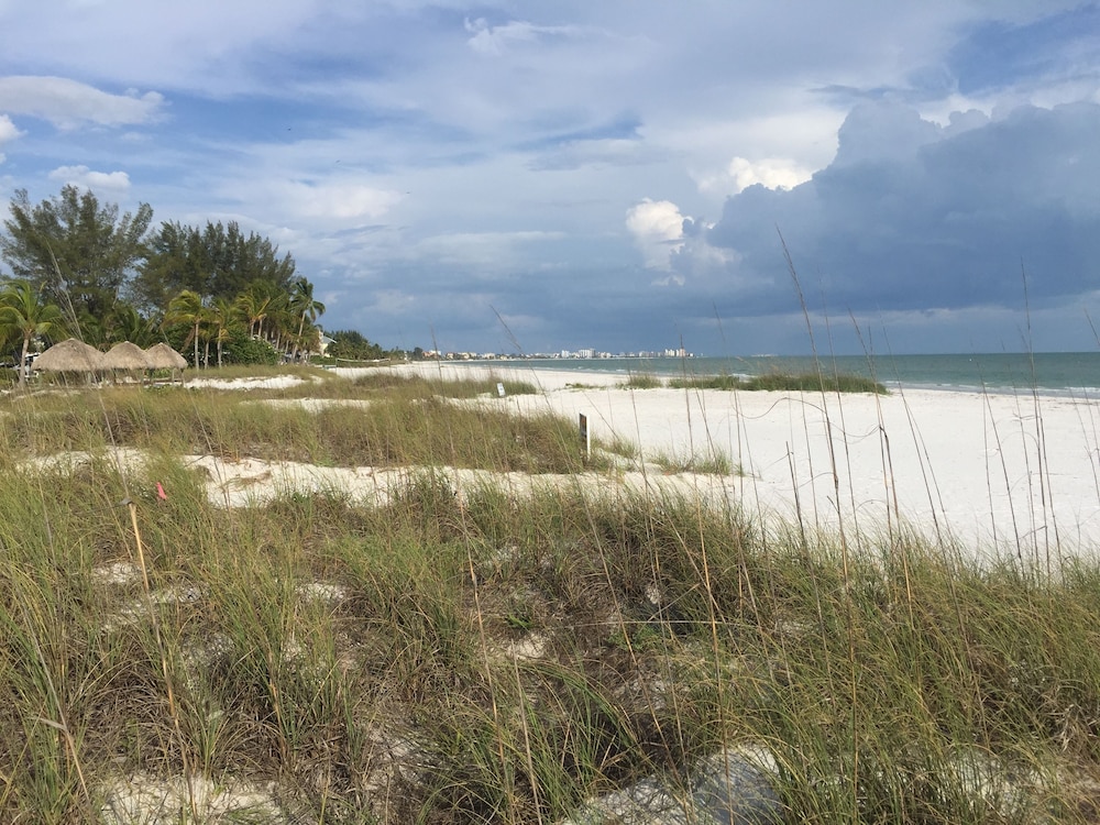 Sandy Beach - photo 52