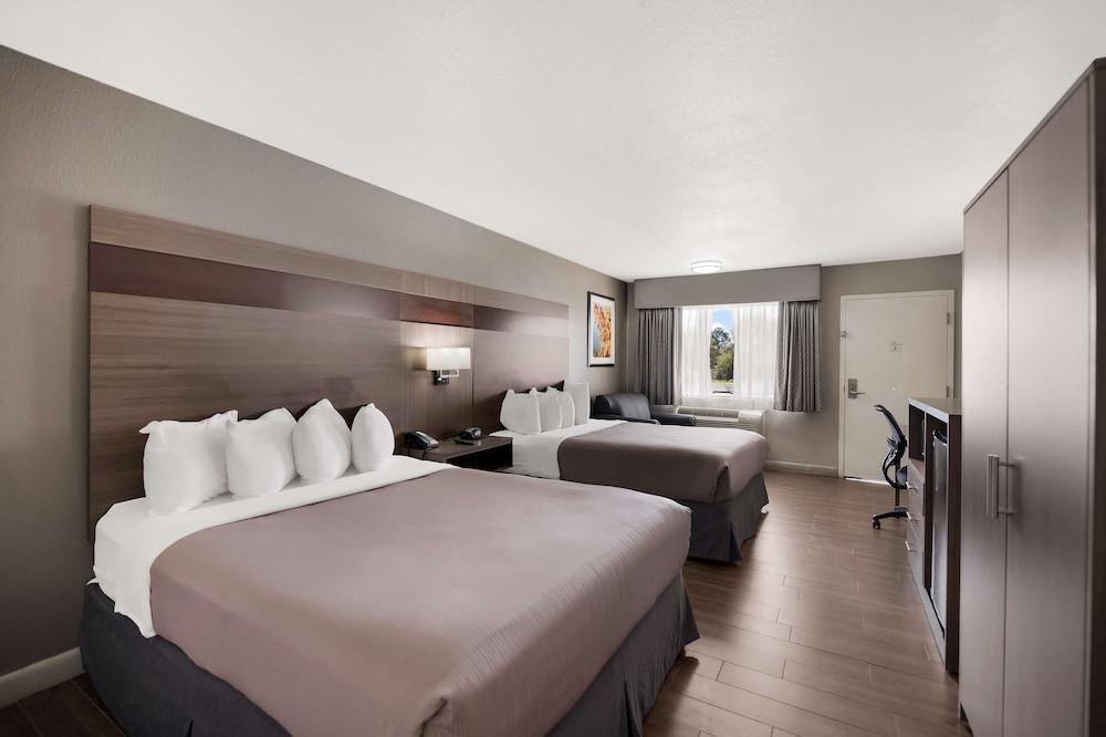 Best Western Minden Inn - photo 12