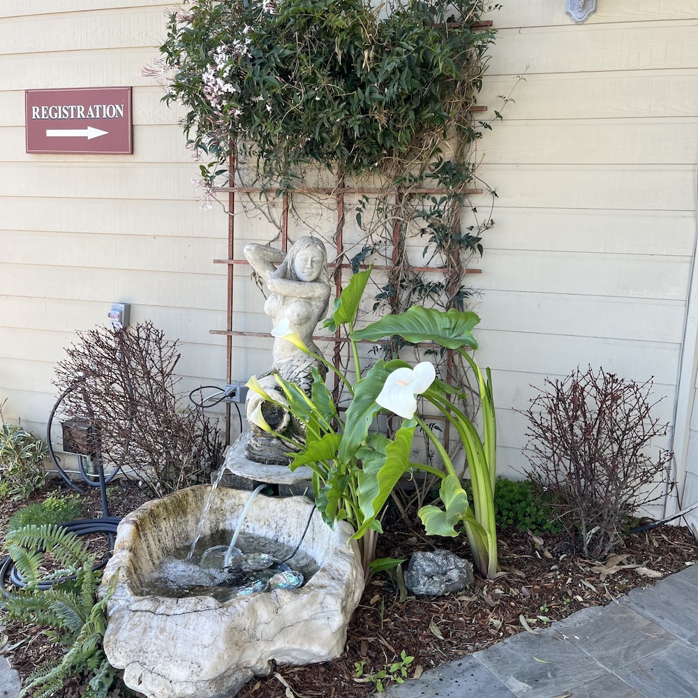 North Cliff Hotel - photo 14