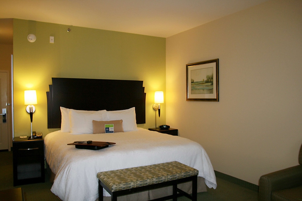 Hampton Inn Alpine - photo 4