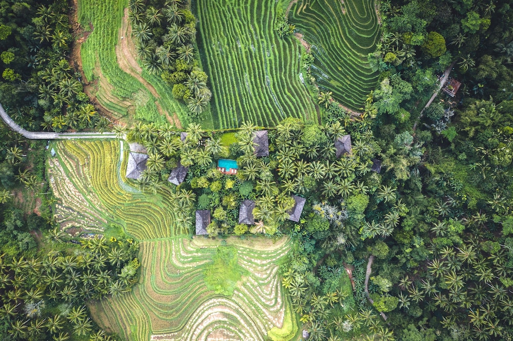 Clove Tree Hill - carbon neutral hotel in Bali