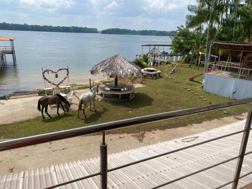 Pousada em Tocantins Conforto e lazer — hotel in Baiao