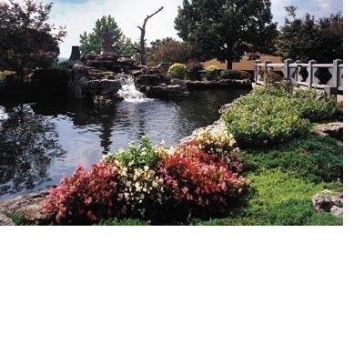 Lodge Of Four Seasons Golf Resort Marina & Spa - photo 10