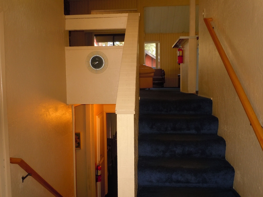Escape For All Seasons - photo 283