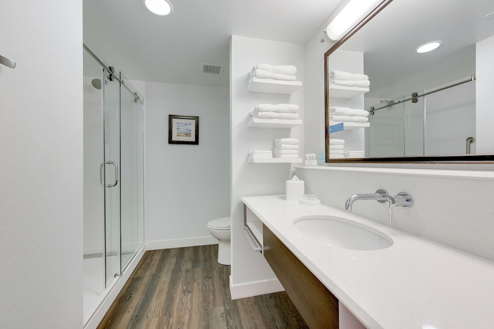 Hampton Inn & Suites North Houston Spring - photo 21