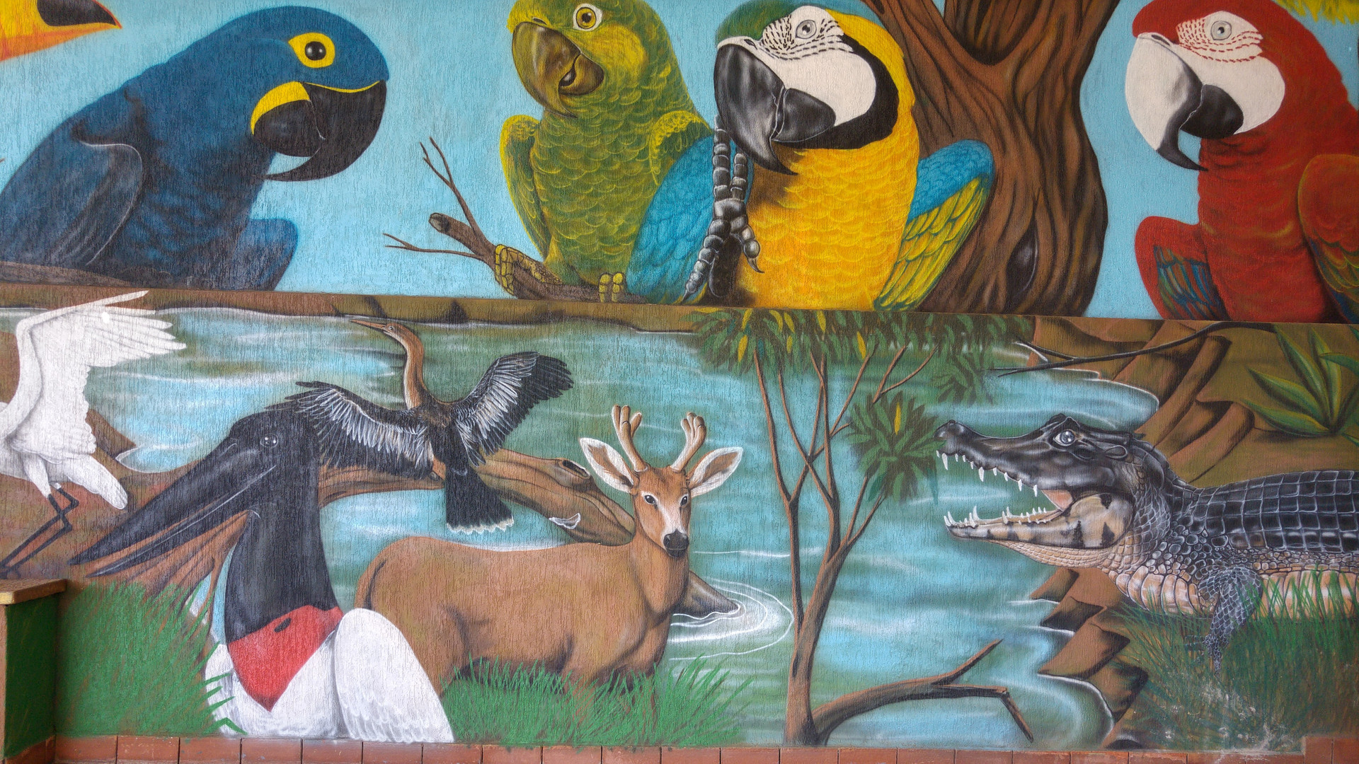 Hotel Manzoni — Campo Grande — photo 2