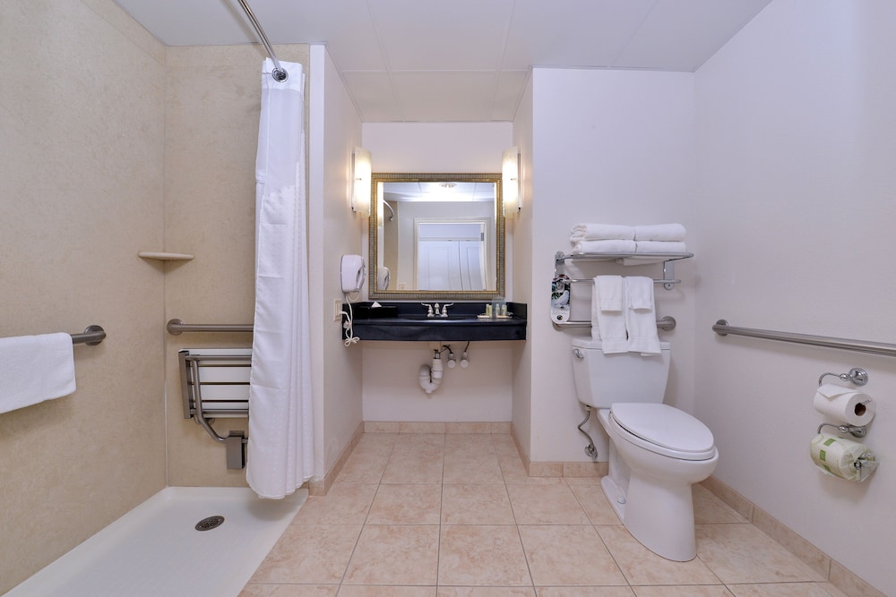 Holiday Inn Madison at The American Center by IHG - photo 23