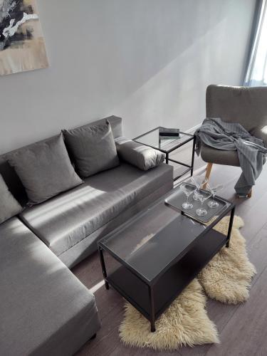 CHAIKA Dubulti Jurmala 2 room apartment — 4-Star Luxury Hotel in Jurmala, Latvia